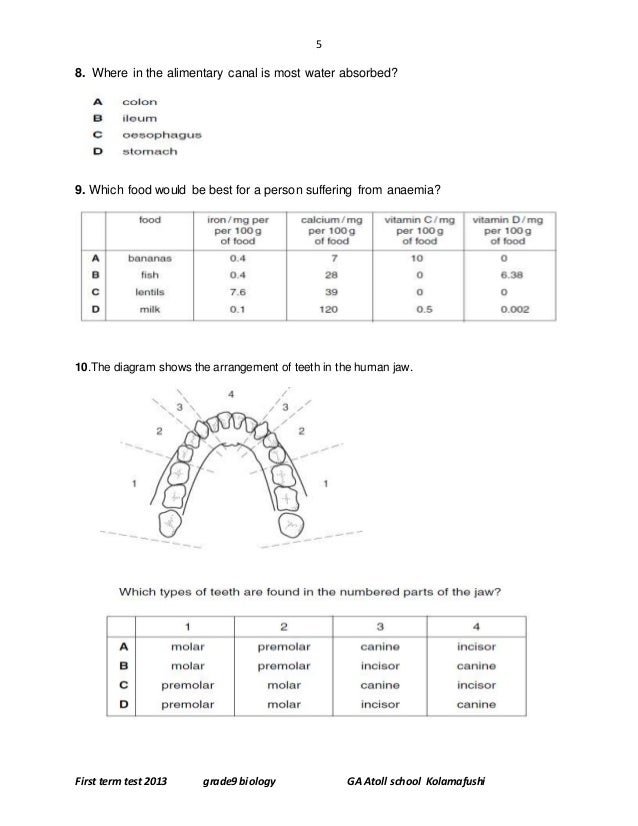 for human cloning essay disadvantages